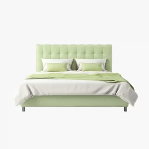 product-42 Felis Vehicula